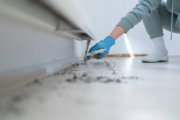 Pest Control for Restaurants in Centereach, NY